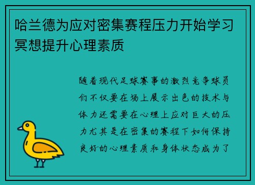 哈兰德为应对密集赛程压力开始学习冥想提升心理素质 哈兰德为应对密集赛程压力开始学习冥想提升心理素质