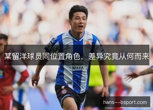 某留洋球员同位置角色,差异究竟从何而来 某留洋球员同位置角色,差异究竟从何而来